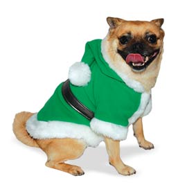 dogo
