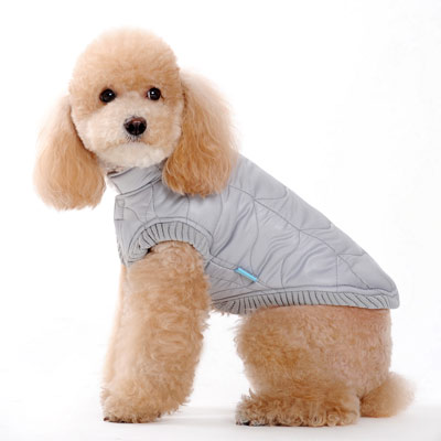 dogo