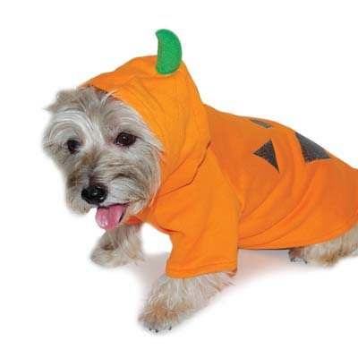 DOGO Pet Fashions